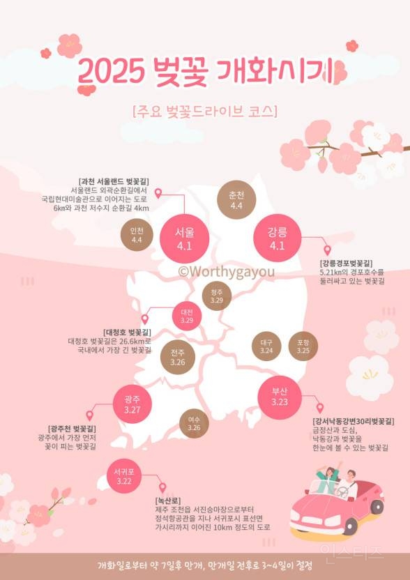 2025 벚꽃개화시기 | 인스티즈