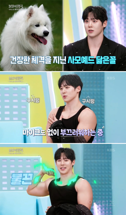 188cm 대형견 댕댕미남 발견!!!! | 인스티즈