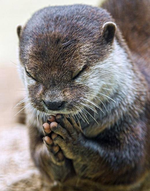 [잡담] 삼성 라이온즈 선전홈 기원 9일차🙏 | 인스티즈