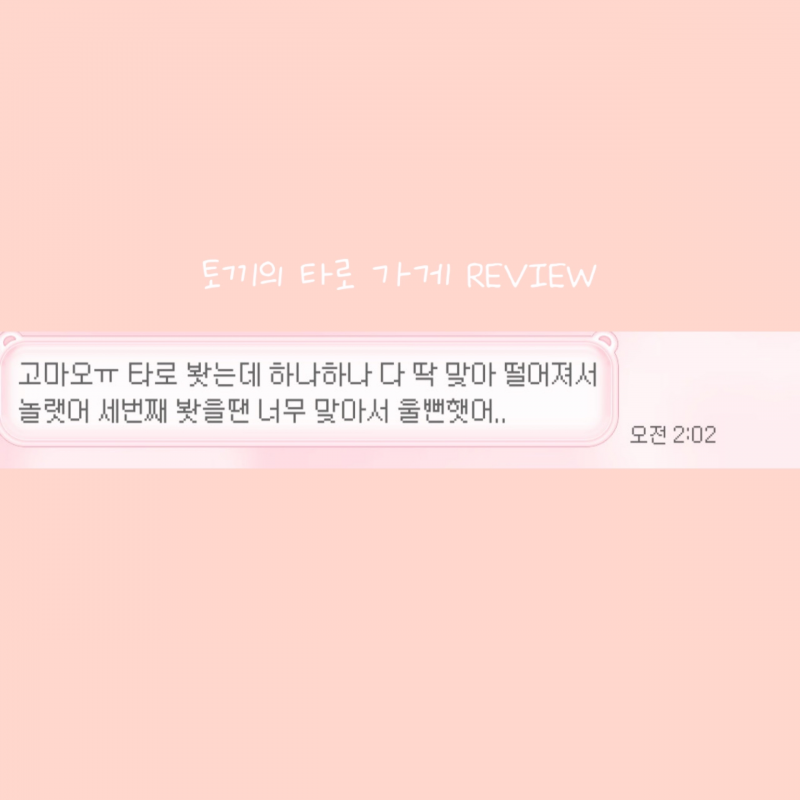 후기 맛집❤️토끼의 타로 가게🐰❤️🔮 | 인스티즈