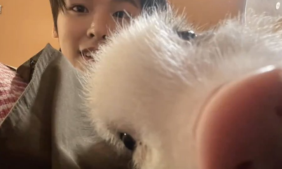 [잡담] 내가 좋아하는 날의 리쿠 사진들 | 인스티즈