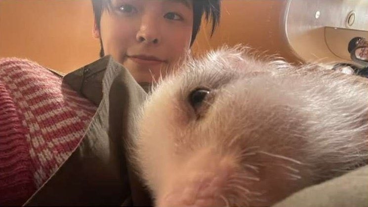 [잡담] 내가 좋아하는 날의 리쿠 사진들 | 인스티즈