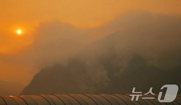 [잡담] 와.. 산청 산불 큰일이다 진짜.... | 인스티즈
