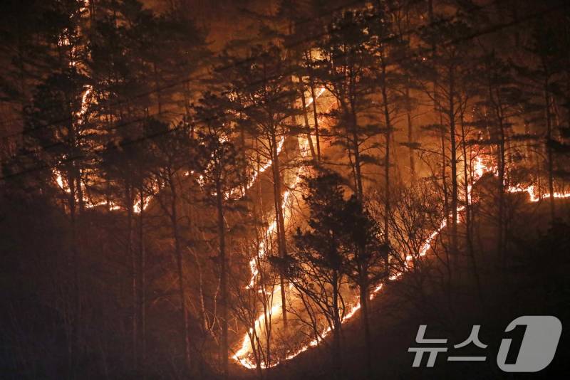 [잡담] 와.. 산청 산불 큰일이다 진짜.... | 인스티즈