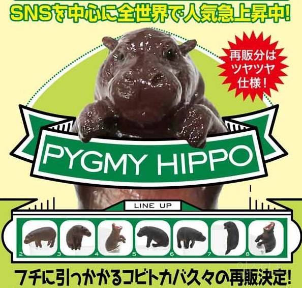 [스압주의] 2025년 4월 신상 출시 예정 가챠 토이 | 인스티즈