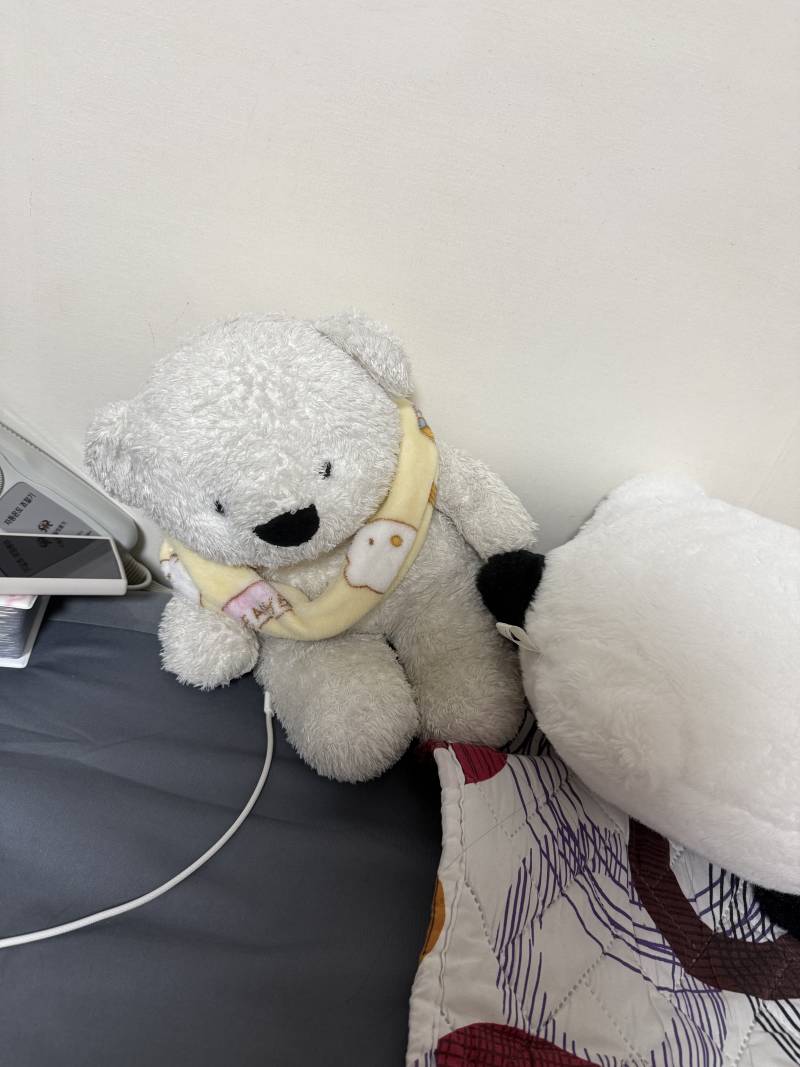 [잡담] 우리집인형 | 인스티즈