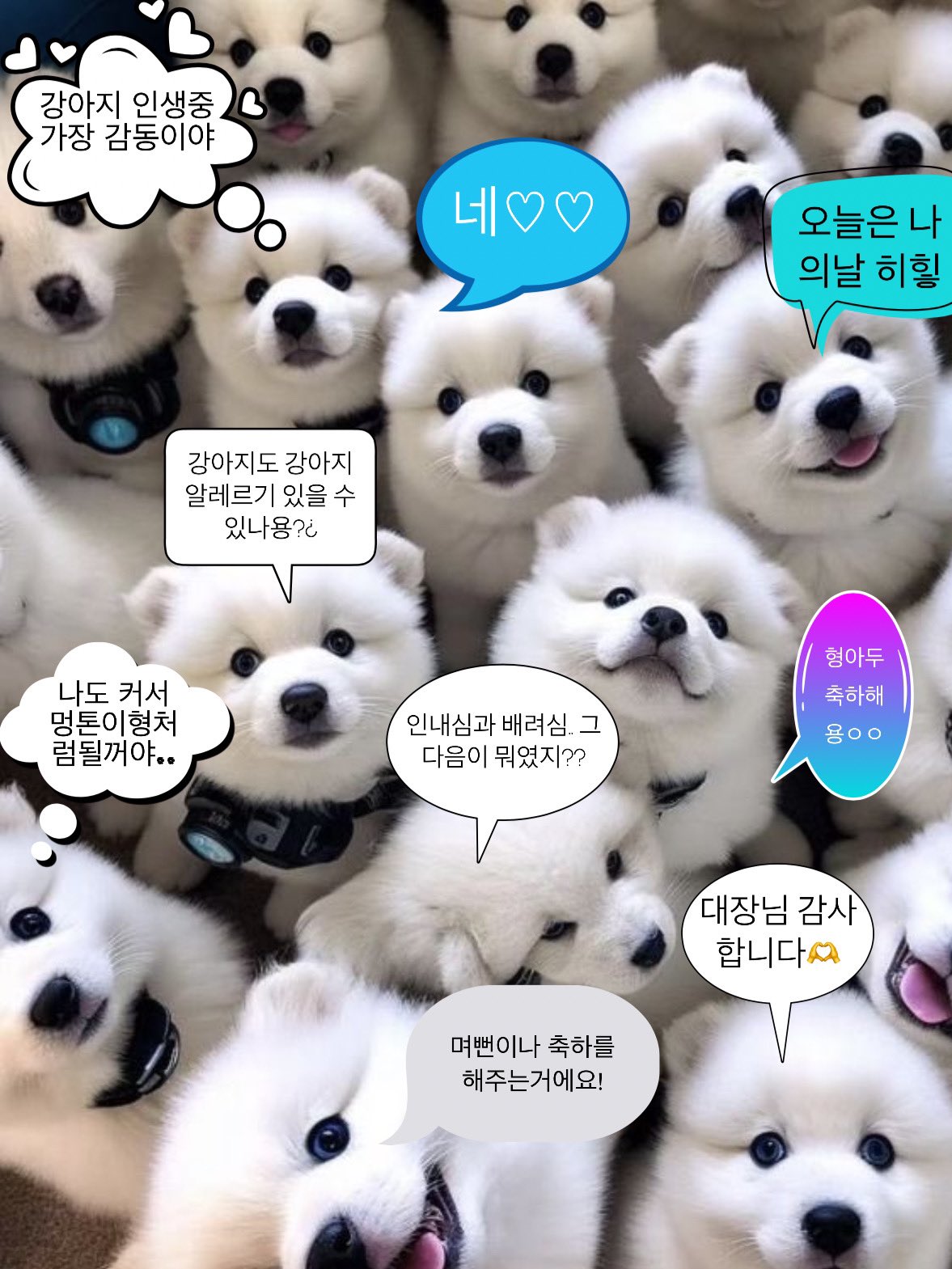 [잡담] 앤톤 대장가나지 말씀에 대답하는 가나지들.. | 인스티즈