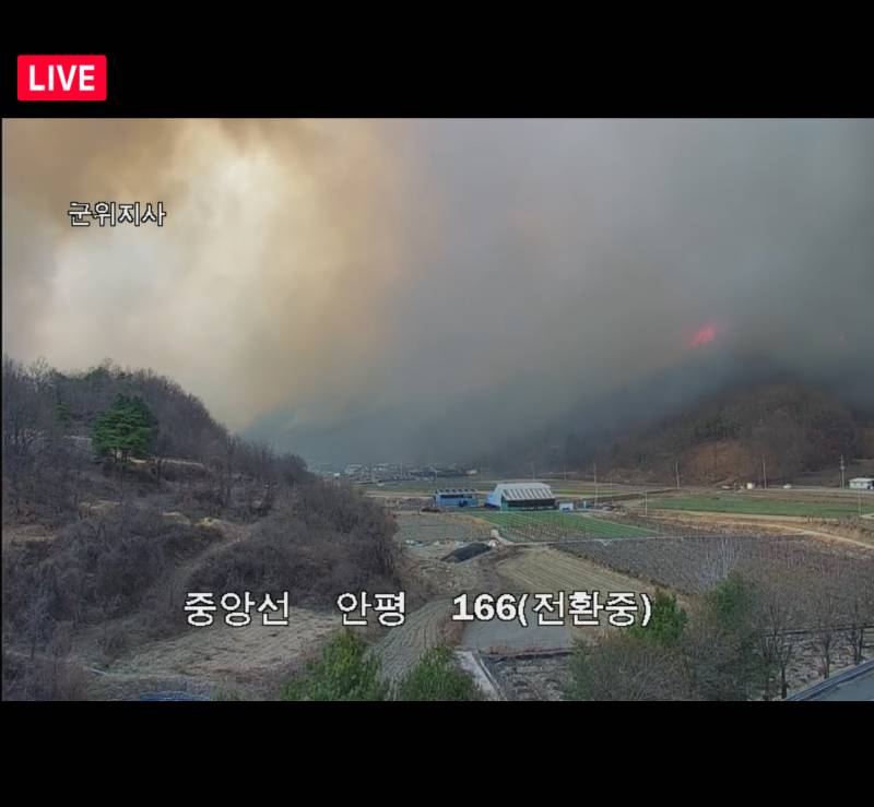 [잡담] 대구익 자꾸 산불 문자오는데 무습다 | 인스티즈