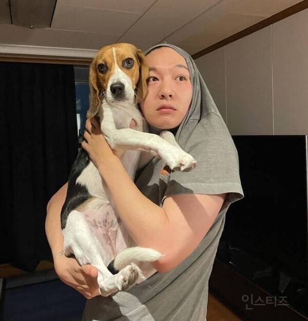 비글 키우는 반려인들은 한 번쯤 겪는다는 상황 .jpg | 인스티즈