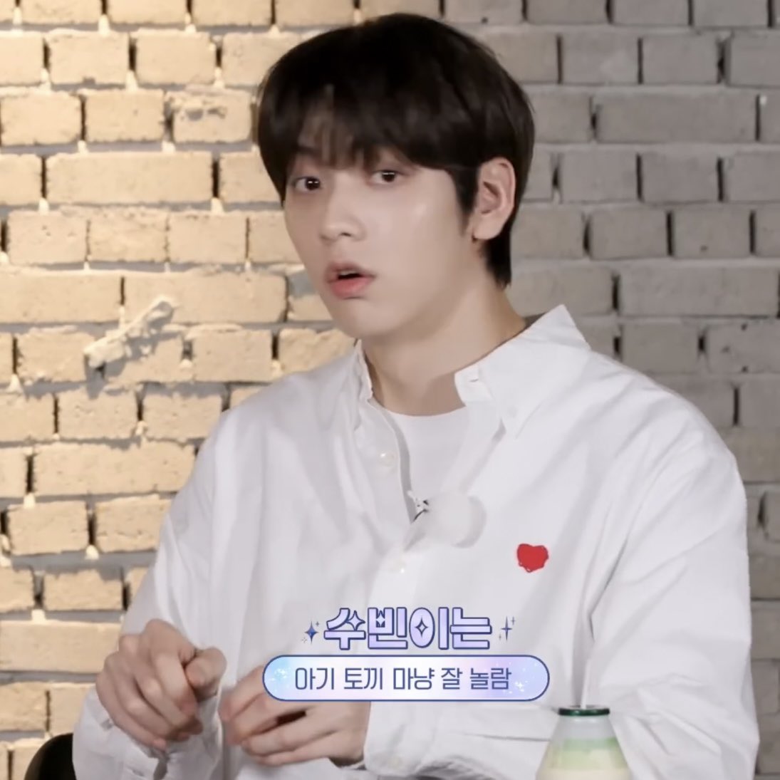 [잡담] 수빈이는 자기보고 토끼라 하는 거 좀 억에화다 하는데ㅋㅋ | 인스티즈