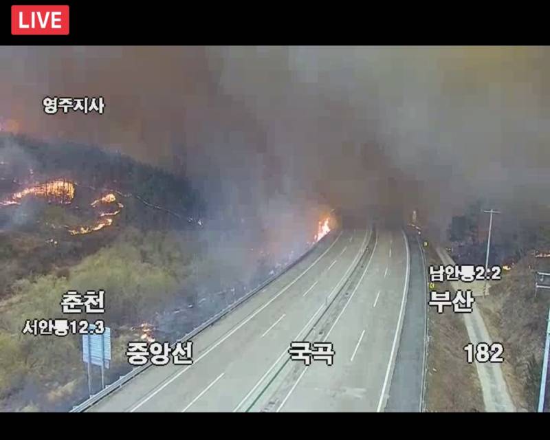 [잡담] 안동 산불 실시간 cctv 끊긴 곳도 많아 이제 ... | 인스티즈