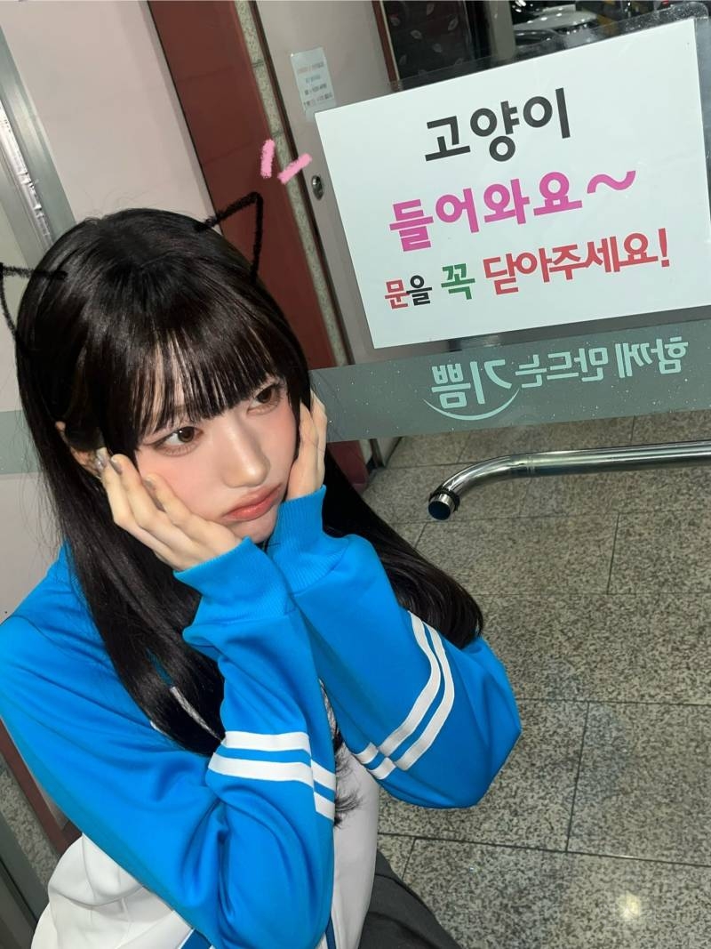 고양이상 아이돌 전부 모일 것 같은 인기가요 준휘존.jpg | 인스티즈