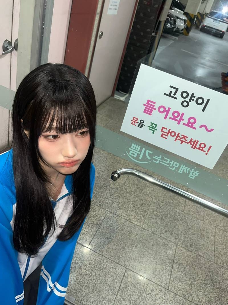 고양이상 아이돌 전부 모일 것 같은 인기가요 준휘존.jpg | 인스티즈
