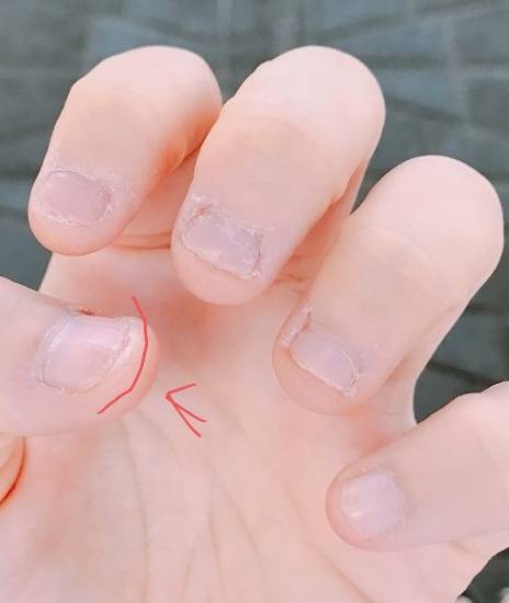 [잡담] 칼림바 아는사람 있어? 이런건 어떤 ㄱ자식이 만들었을까.. | 인스티즈