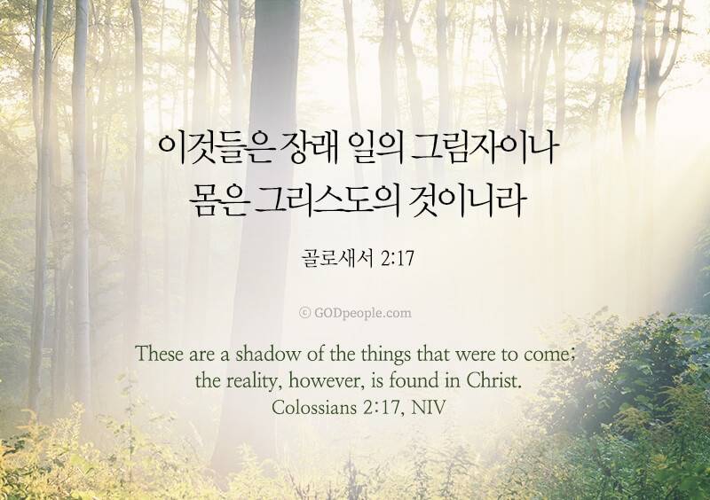 [잡담] 그러므로 너희가 그리스도 예수를 주로 받았으니 그 안에서 행하되 | 인스티즈