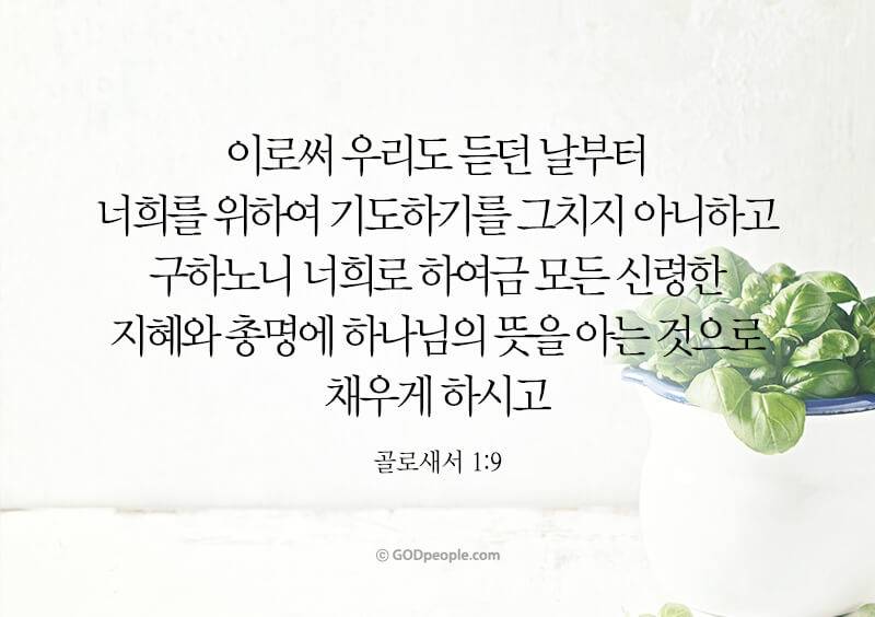 [잡담] 아버지께서는 모든 충만으로 예수 안에 거하게 하시고 | 인스티즈