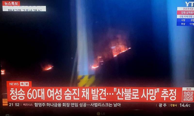 [잡담] 사망자 발생했네 ㅠ | 인스티즈