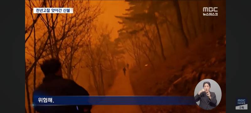 [잡담] 와...불난거 수준봐.. 너무 심각함 진짜 화마라는 말이 딱 맞음 | 인스티즈