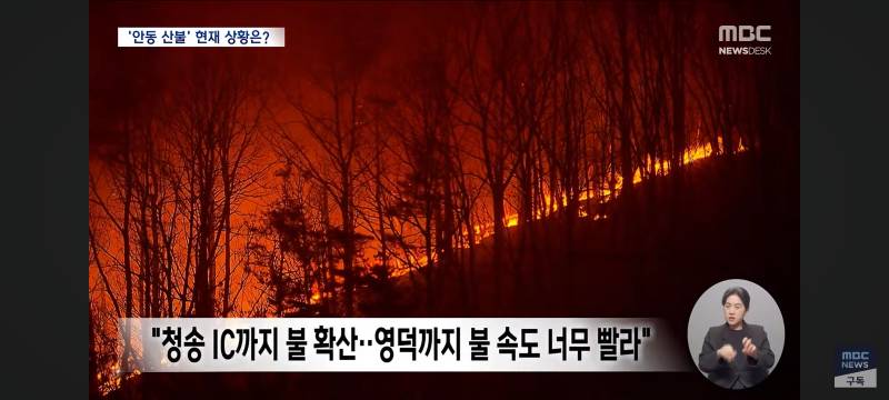 [잡담] 와...불난거 수준봐.. 너무 심각함 진짜 화마라는 말이 딱 맞음 | 인스티즈