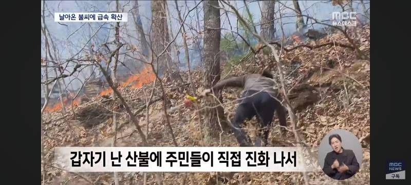 [잡담] 와...불난거 수준봐.. 너무 심각함 진짜 화마라는 말이 딱 맞음 | 인스티즈
