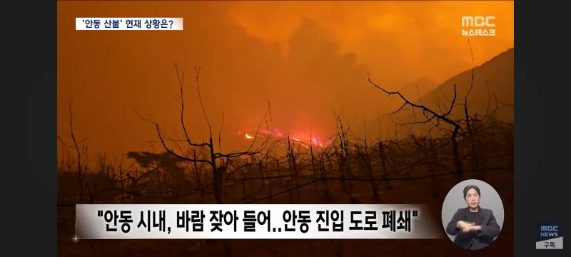 [잡담] 와...불난거 수준봐.. 너무 심각함 진짜 화마라는 말이 딱 맞음 | 인스티즈
