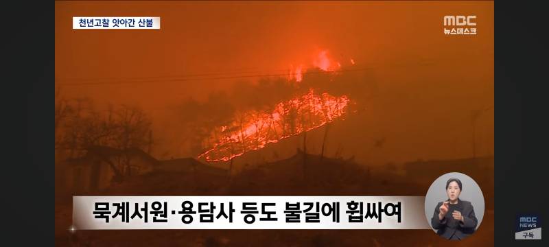 [잡담] 와...불난거 수준봐.. 너무 심각함 진짜 화마라는 말이 딱 맞음 | 인스티즈