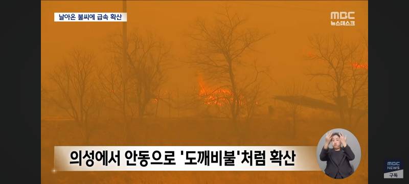 [잡담] 와...불난거 수준봐.. 너무 심각함 진짜 화마라는 말이 딱 맞음 | 인스티즈
