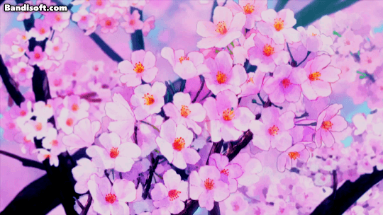 [잡담] 애니 속 벚꽃 특 | 인스티즈