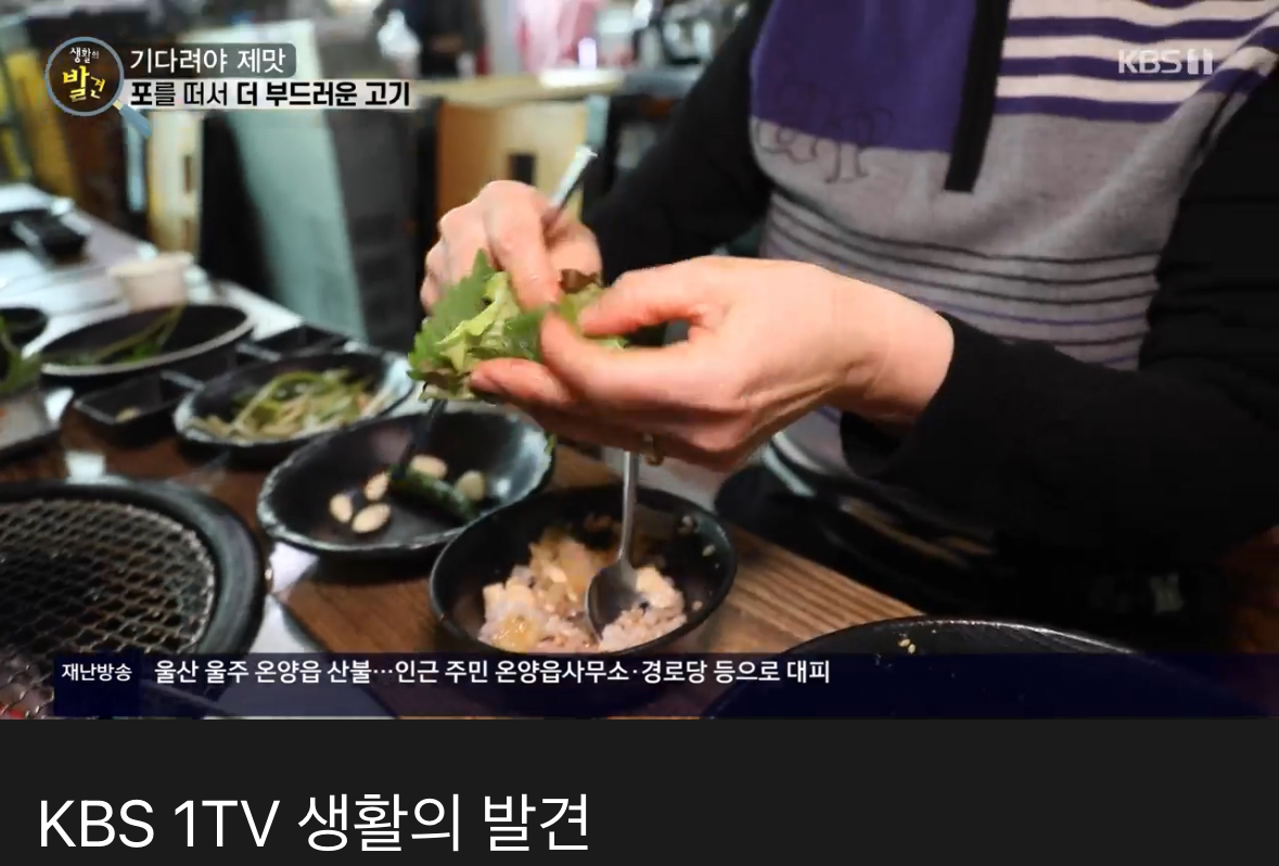 [정보/소식] 지금 이 시각 (새벽1시)산불 뉴스 특보해주고 있는 공중파 | 인스티즈