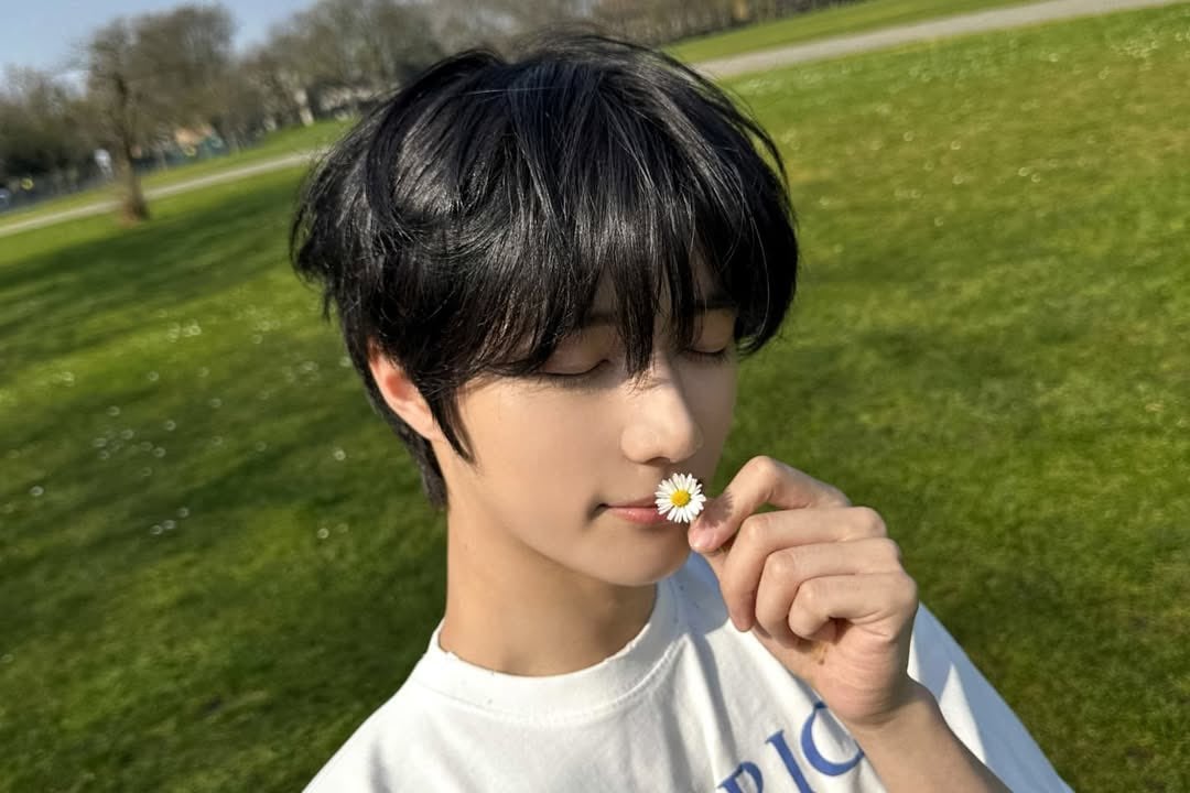 [잡담] 범규 얼굴 진짜 세상화려한데 되게 들꽃 민들레 벚꽃 이런 꽃들 잘어울림 | 인스티즈
