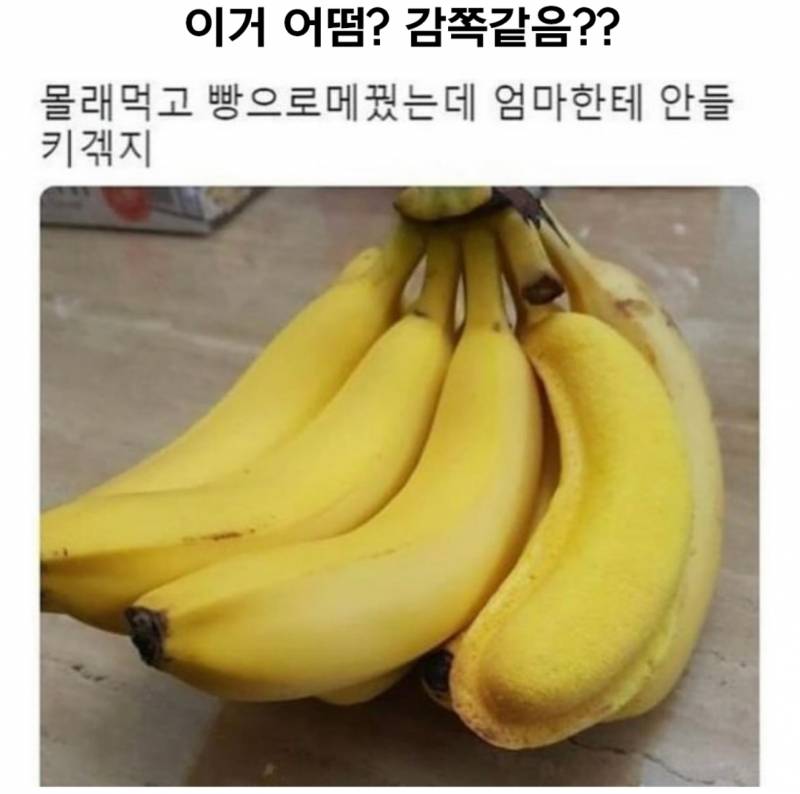 [잡담] 지나가다 봤는데 개웃겨ㅋㅋㅋ | 인스티즈