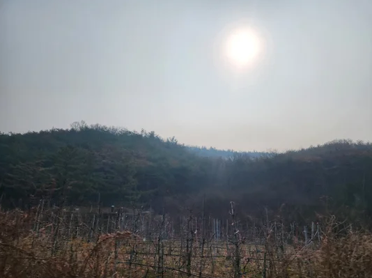 [잡담] 와..불난곳만 귀신같이 비구름 없는것봐봐.... | 인스티즈