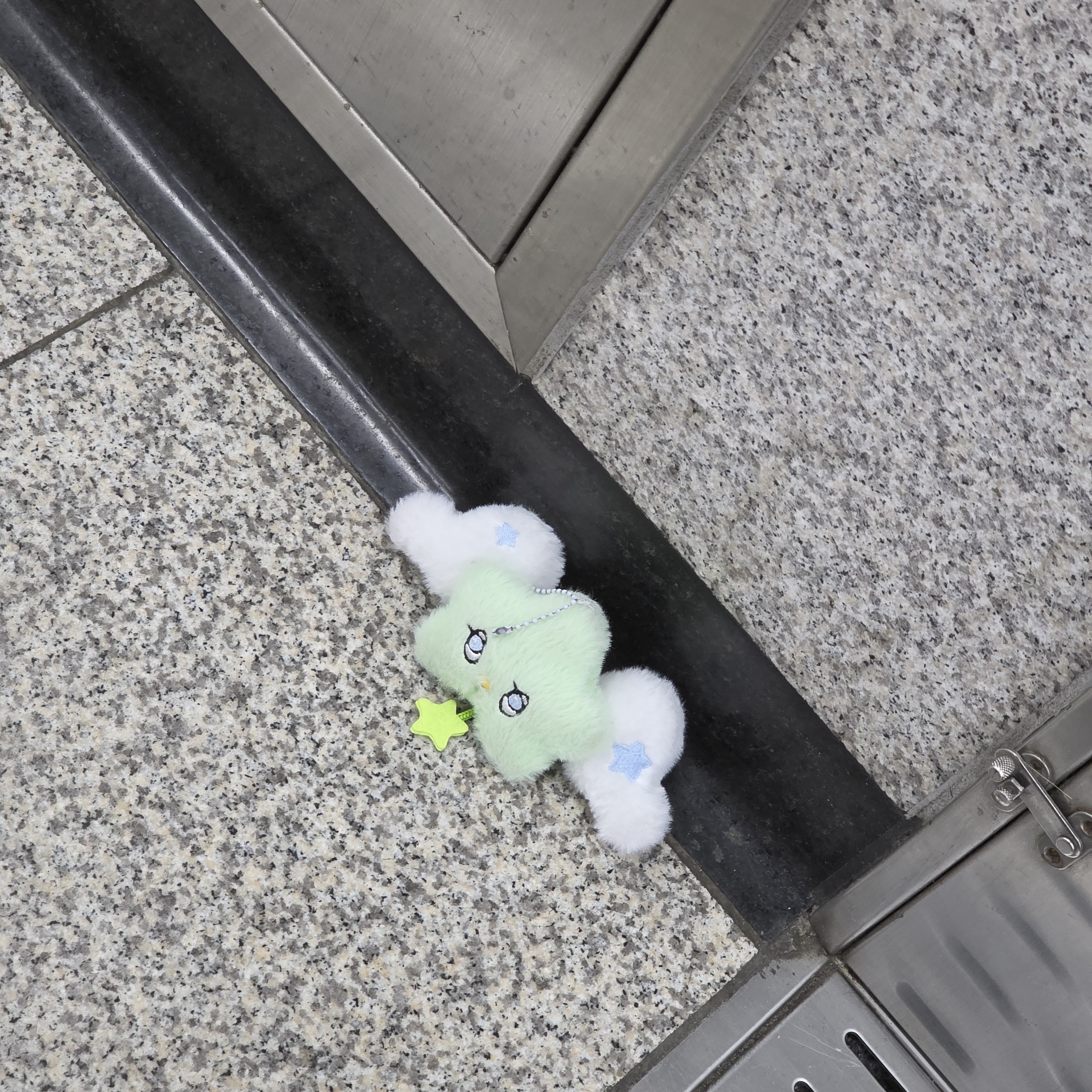 [잡담] 혹시 이거 엔위시 인형 맞을까? | 인스티즈