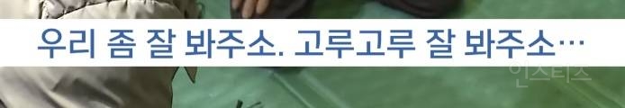 재난 현장에 정치인이 가는 이유 | 인스티즈