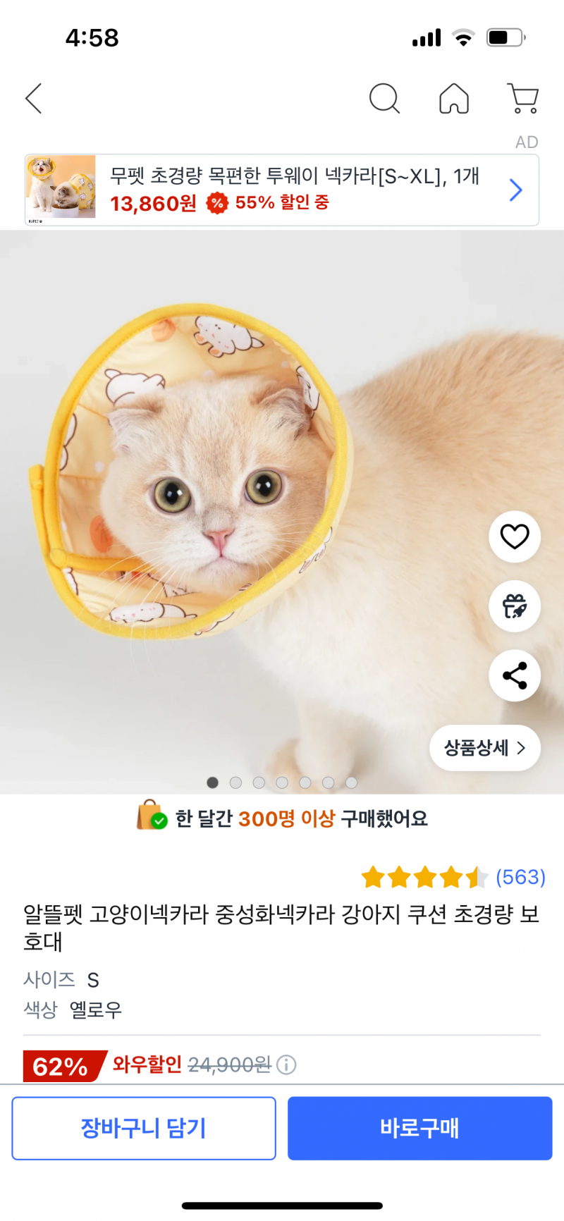 [잡담] 고양이 중성화 후에 넥카라 | 인스티즈