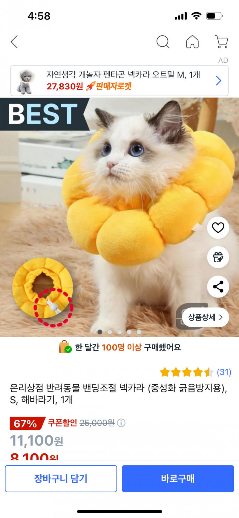 [잡담] 고양이 중성화 후에 넥카라 | 인스티즈