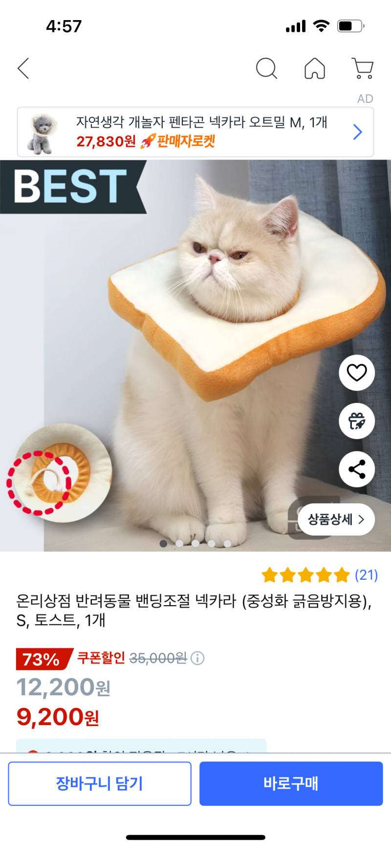 [잡담] 고양이 중성화 후에 넥카라 | 인스티즈
