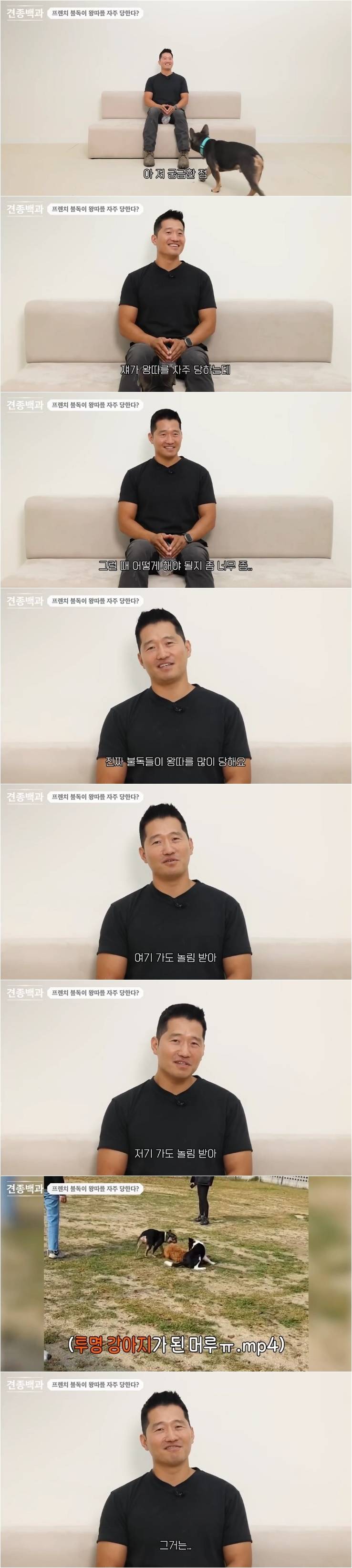프렌치 불독이 왕따를 자주 당하는 이유.jpg | 인스티즈
