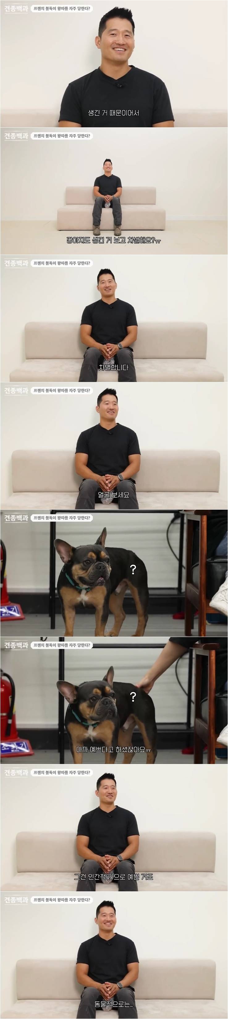 프렌치 불독이 왕따를 자주 당하는 이유.jpg | 인스티즈