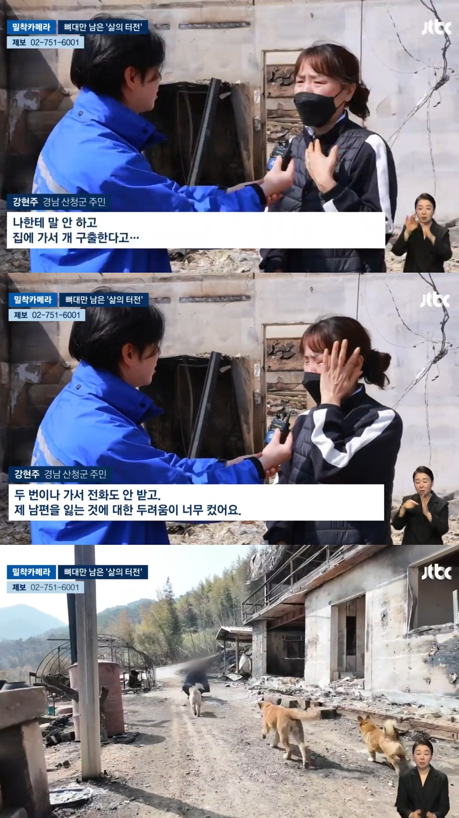 [정보/소식] 마을 앞까지 불구덩이가 다가왔지만 반려견 6마리를 데려가기 위해 집으로 돌아간 주인 | 인스티즈