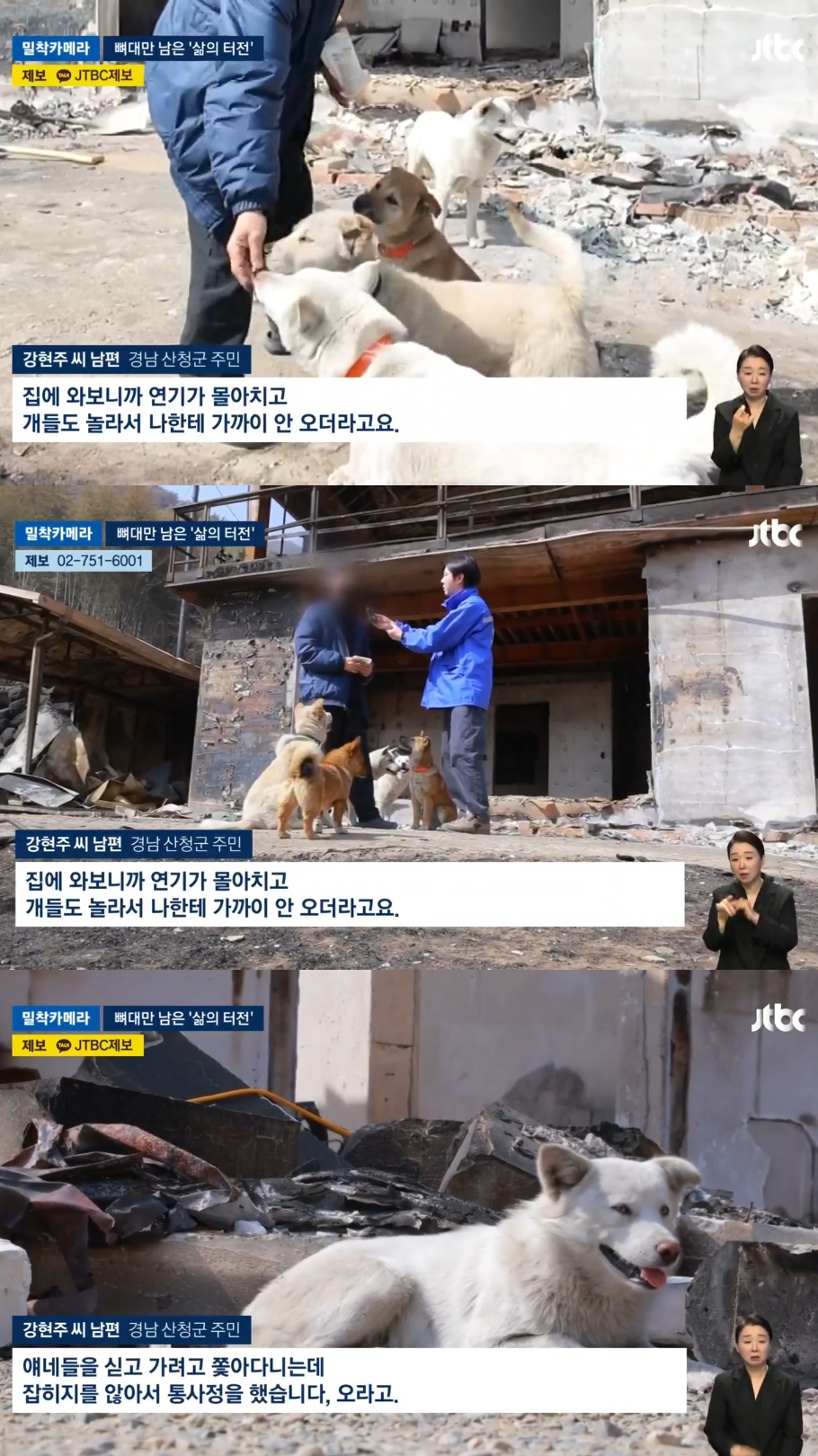 [정보/소식] 마을 앞까지 불구덩이가 다가왔지만 반려견 6마리를 데려가기 위해 집으로 돌아간 주인 | 인스티즈
