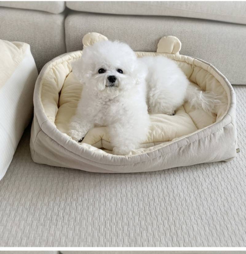 [잡담] 무슨 강아지 방석이 10만원 | 인스티즈