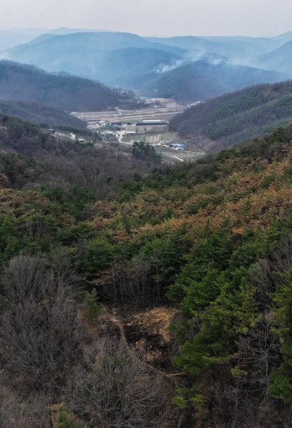 [잡담] 의성 산불 발화지점 모습이래... | 인스티즈