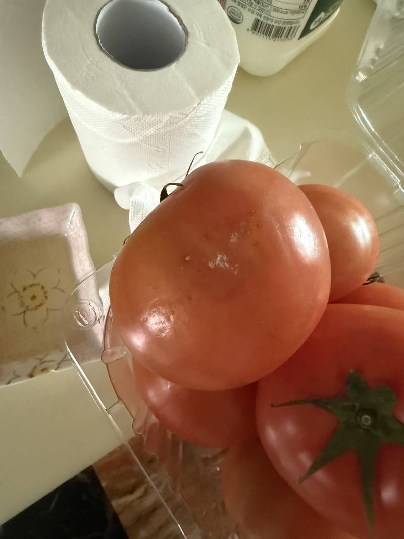 [잡담] 이거 곰팡이야? | 인스티즈