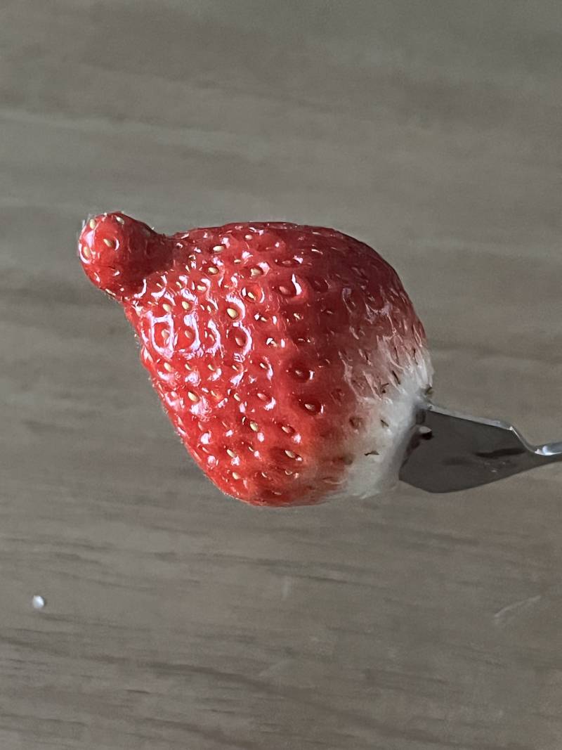 [잡담] 딸기가 숭하게 생김.. | 인스티즈