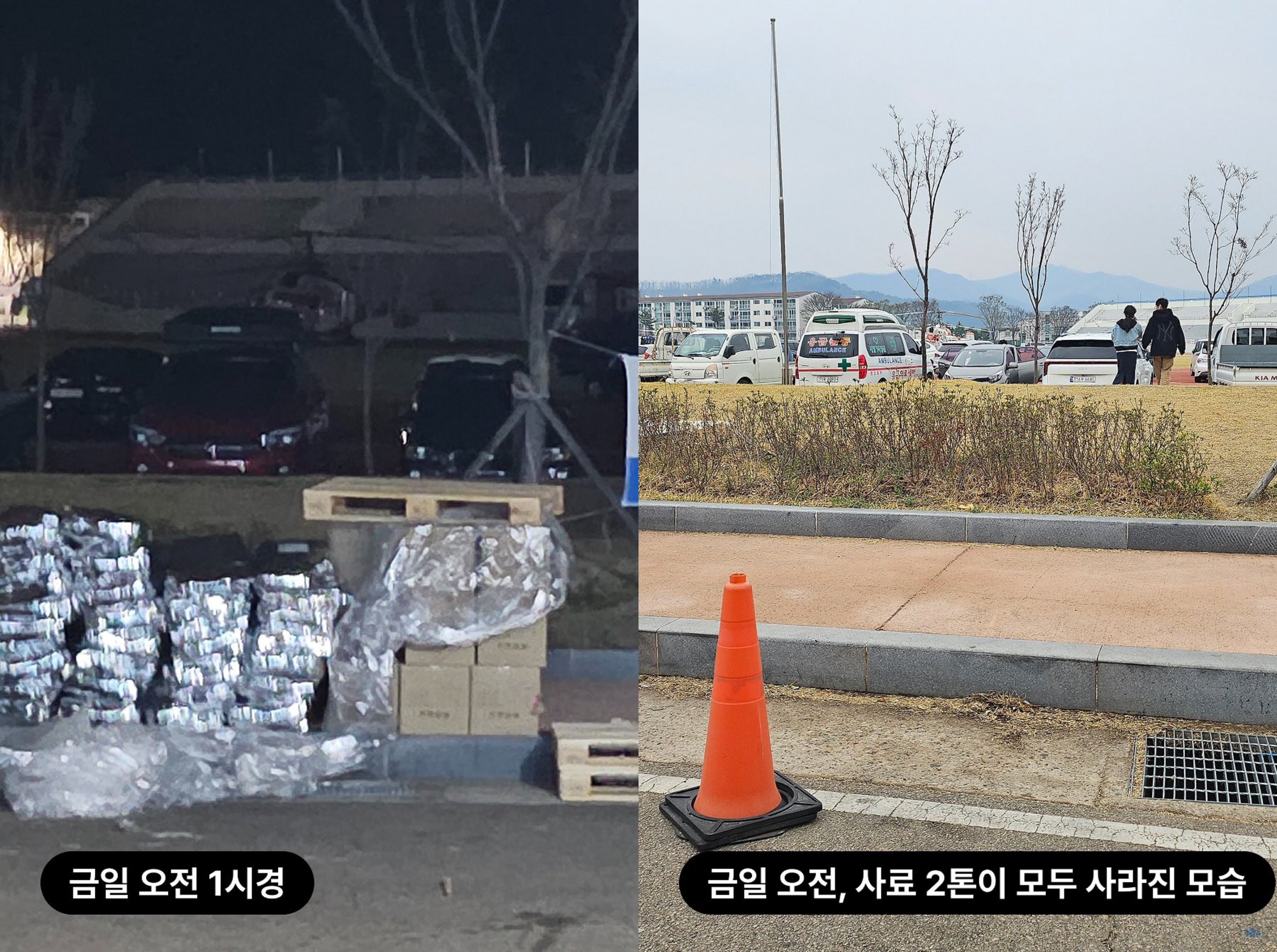 [정보/소식] 위액트 산불 피해견들을 위한 사료 2톤 도난당함 | 인스티즈