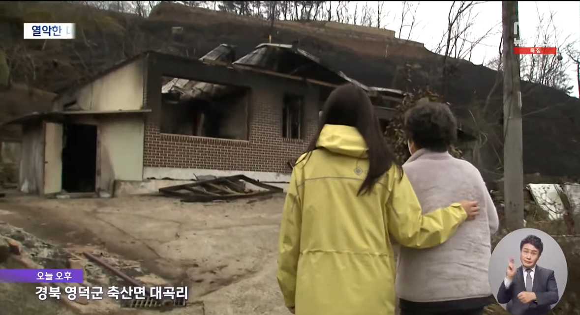 [잡담] 20년전 화재로 집 잃어서 다시 집 지었는데 그 집이 이번 산불로 다시 탔대 | 인스티즈