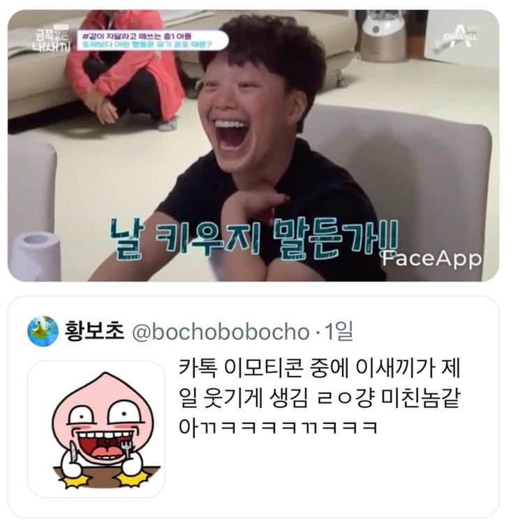 [잡담] 아 이 짤 보고 터졌네ㅋㅋㅋㅋㅋ | 인스티즈