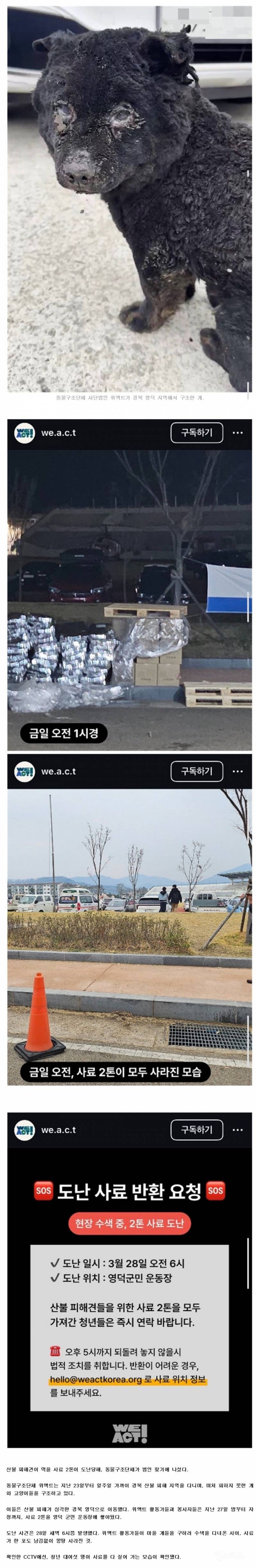 산불 피해견 먹을 사료 훔쳐가.jpg | 인스티즈