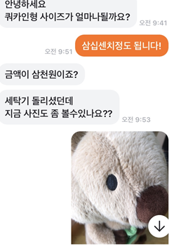 [잡담] ㅋㅋㅋㅋㅋㅋㅋㅋㅋㅋㅋㅋㅋㅋㅋㅋㅋㅋㅋㅋ아 당근에 만원주고 뽑은 인형 삼천원에 올렸는대 | 인스티즈